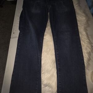 Izod Men's Dark Blue Pants